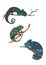 Three multi-colored chameleons with long tails