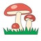 Three mushrooms with red caps