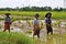 Three Myanmar woman working