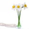 Three narcissus in colorful vases on a white background.