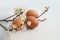 Three natural Easter eggs and a cherry plum twig Prunus cerasifera with white flowers, spring arrangement on a bright background