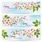 Three nature spring banners with blossoming cherry.