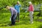 Three neighbors loving green nature planting trees near houses