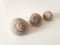 Three Neverita Duplicata (Shark Eye) Sea Snail Shells.