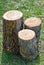 Three new stumps