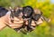 Three newborn puppies in female hands