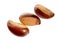 Three nuts Vitellaria paradoxa , commonly known as shea tree or