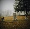 Three Old Graves On A Foggy Day