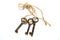 Three old keys tied with a rope on a white background