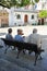 Three old men sitting on the bench in in Ubrique, a town famous for the quality of its leather crafts, Cadiz province, Spain