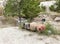 Three old pitchers lie on the ground at the old courtyard of Cappadocia