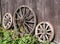 Three old wagon wheels