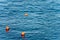 Three Orange Mooring Buoys on the Sea