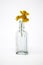 Three Orange Wildflowers in Old Glass Bottle