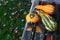 Three ornamental gourds among autumn leaves on wooden bench