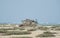 Three ospreys on top of a stone hut