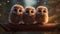 Three Owls On A Branch: A Delightful Display Of Childlike Innocence