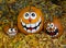Three Painted Halloween Pumpkins Among Dried Leaves and Stones
