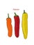 Three Palermo sweet peppers vector.