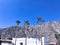 Three Palm Trees Against A Blue Sky