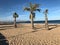 Three palm trees dancing in front of the sea