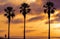 Three Palm trees, heavy dramatic clouds and bright sky.s