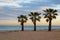 Three palms on the beach