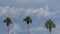 Three Palms Clouds