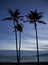 Three Palms and Moon, Maui, Hawaii