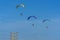 Three para motor gliders flying