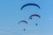 Three para motor gliders flying