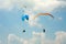 Three paraglider fly in summer sunny day. Carpathians, Ukraine.