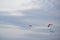 Three paragliders flying far away in a light cloudy sky in the summer