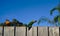 Three parakeets on wooden fence