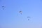 Three paratroopers descend against a blue sky