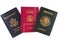 Three passports(american,mexican and spanish)