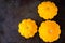 Three pattypan squash is a variety of summer squash Cucurbita pepo on dark background