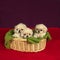 Three pekinese puppies