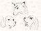 Three pencil sketches of dogs