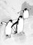 Three penguins in the Arctic. Vector cute penguin.