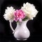 Three peonies in a white ceramic jug against a black background