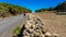 Three people walked through a forest of Laurisilva, on the island of El Hierro.