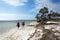 Three people walking along a sheltered estuary with dogs