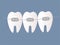 Three perfect healthy teeth with braces. Dental care - orthodontic treatment and straightening of teeth.