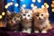 Three persian kittens with blue eyes sitting on a wooden shelf