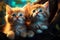 Three persian kittens with blue eyes sitting on a wooden shelf