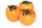 Three persimmons on white background