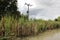 Three phase overhead powerline near the riverbank, lines passing over a canal UK