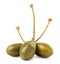 Three pickled capers with tails on a white background. Isolated