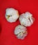 three pieces of garlic on a red background